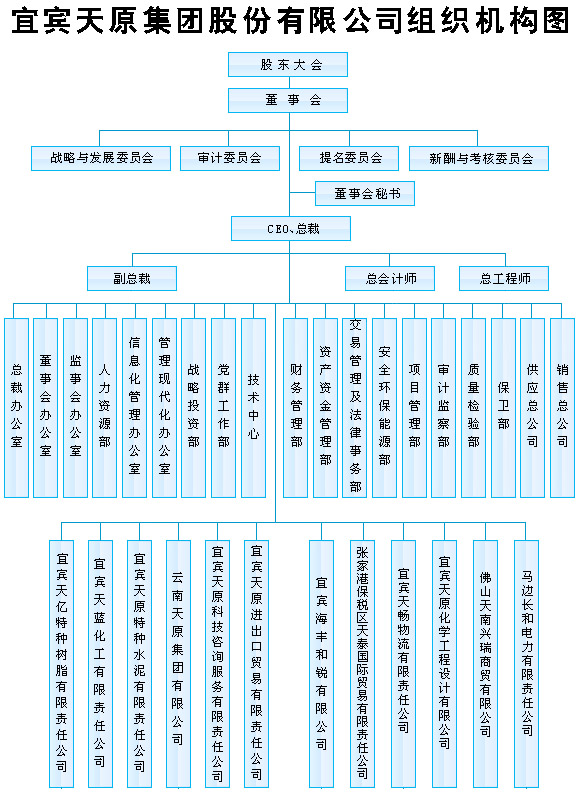 公司财务管理(财务资金管理)