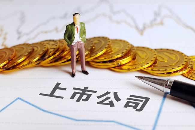 ipo是啥意思(ipo 审核状态为已反馈是什么意思)