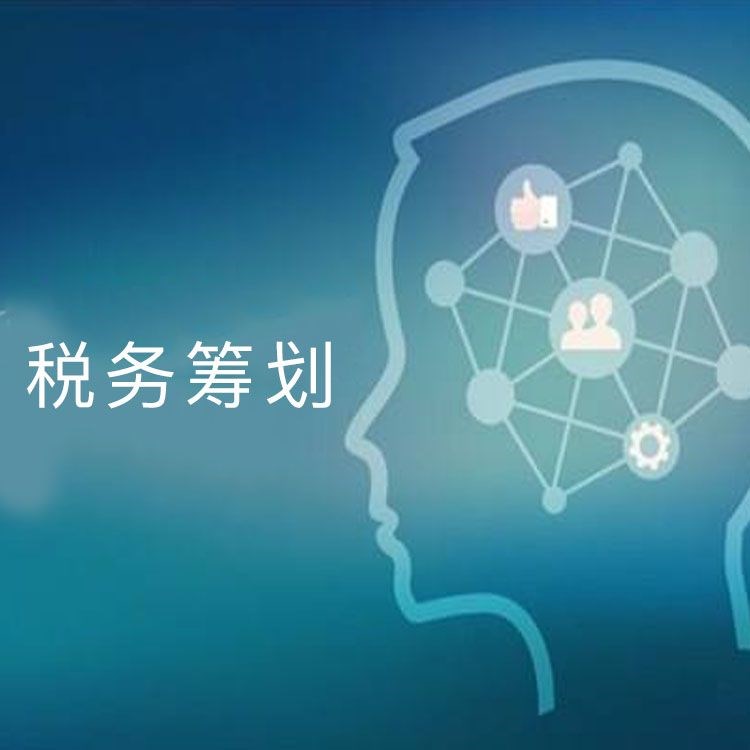 上海税务筹划(上海税务网站官网)