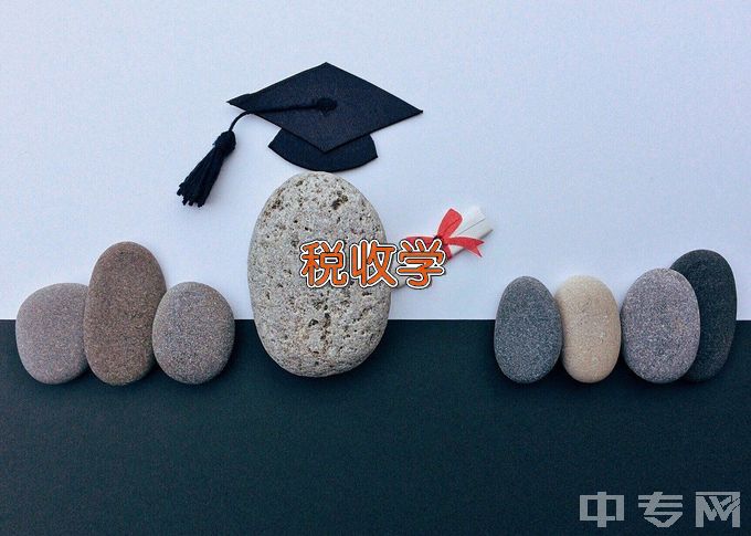 南京审计大学税收学