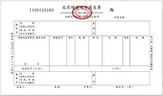 上海财税网发票查询(上海 发票 真伪 查询)(图14)