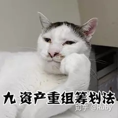 纳税筹划的主要形式(形式法律推理的主要形式有)(图11)