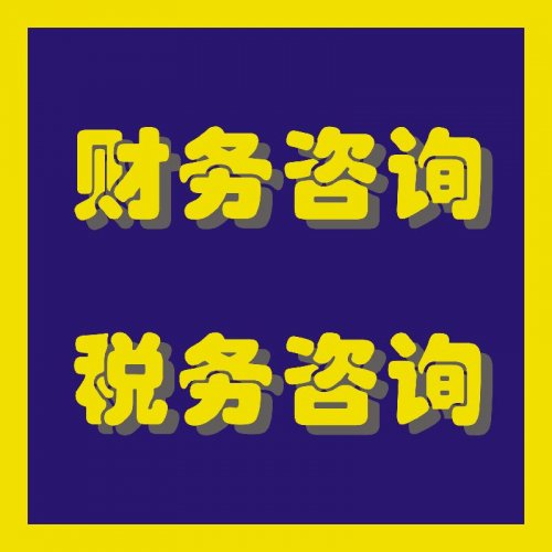 上海税务筹划服务(天津企业税务代办服务)