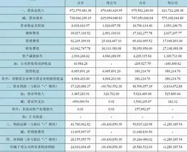 财务报表分析论文(财务管理公司分析论文)