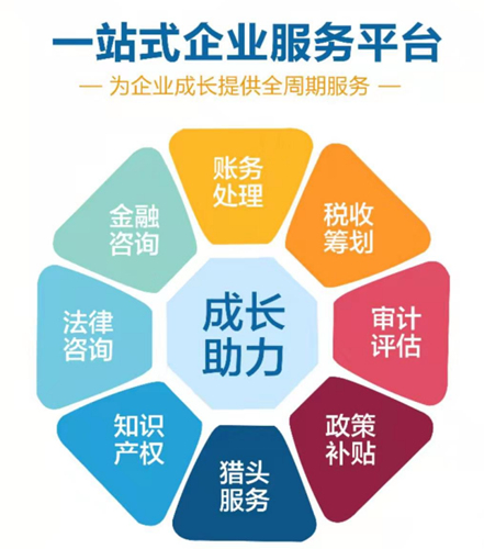 工商财税(广州文税工商财税代理有限公司)