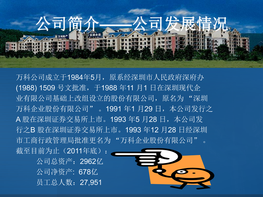 万科财务报表分析图片3