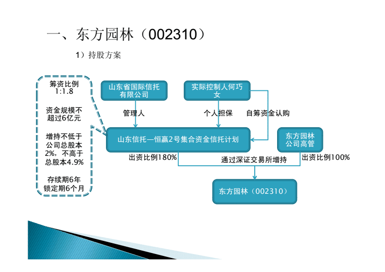 上市公司股权激励(上市前股权激励案例)