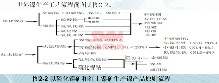 生产镍的上市公司(元江镍业公司现状)
