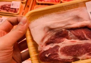 三四月猪价或跌至每斤6元谷底 猪肉供应现阶段性过剩
