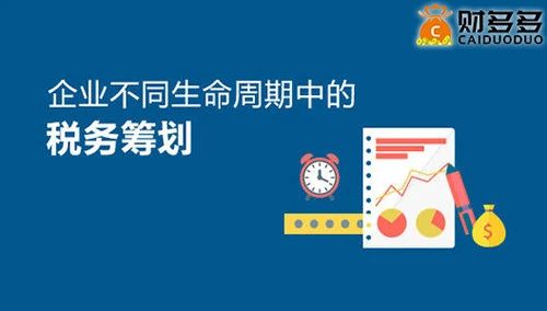 咨询公司的税务筹划(公司吊销了税务还会查公司吗)