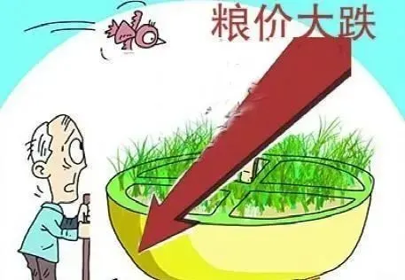 食用油上市公司(食用山苍子油)