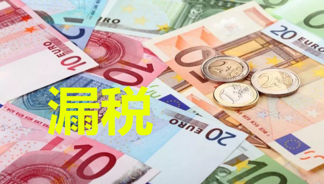 美国富豪避税被曝光(俞飞鸿富豪男友曝光)(图2)