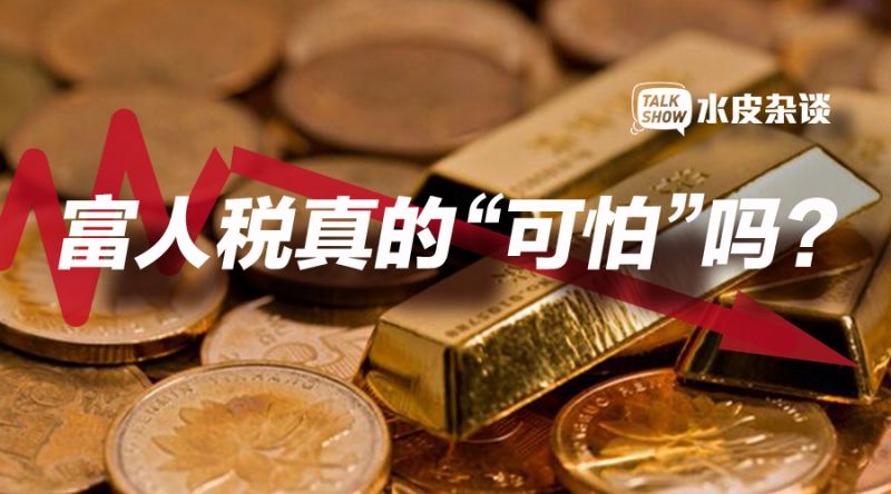 美国富豪避税被曝光(李念富豪老公林和平曝光)
