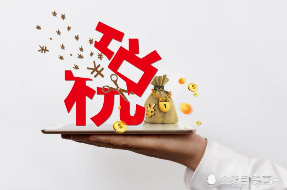 如何筹划节税(合理节税涉税风险防范与纳税筹划案例指导)(图4)