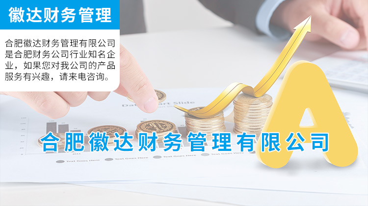 合肥财务公司(合肥高斯财务公司主页)