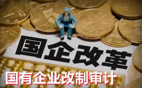 公司ipo流程