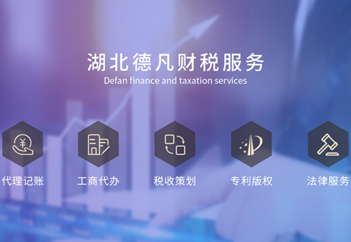 湖北财税(湖北财税职业学院杨莉)(图4)
