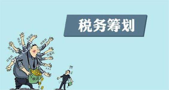 税务筹划税务筹划(税务登记表 税务代理人)