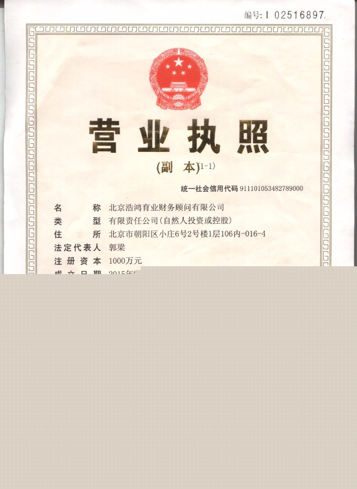 常年财务顾问的定义(网络营销顾问定义)