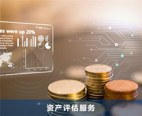 财税顾问
