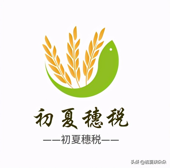 有限公司有哪些税务筹划方案