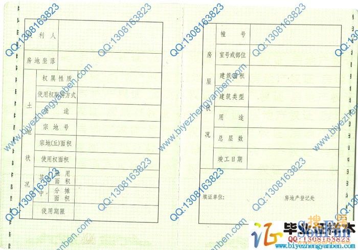 财税网 上海