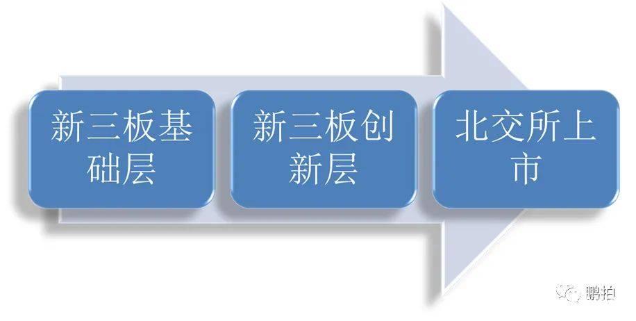 公司上市流程六大阶段(深圳天彦上市到了哪个阶段)(图2)