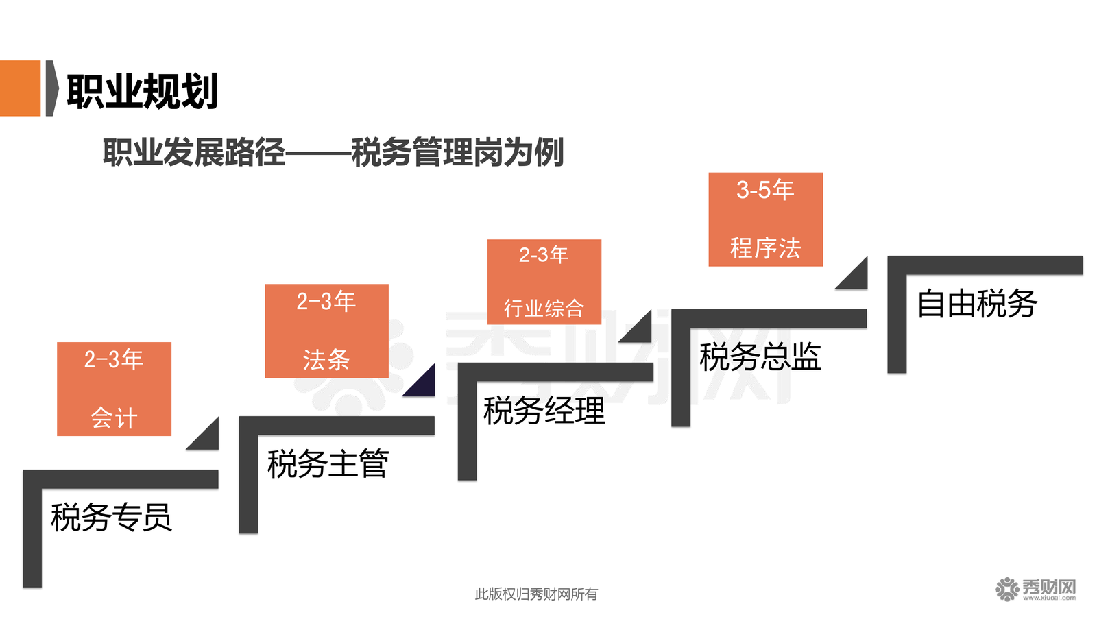 财税顾问