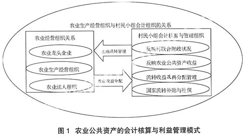 会计核算职能