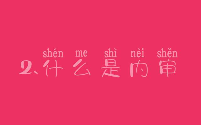 2.什么是内审