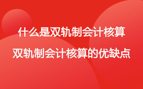 财务会计核算体系(什么是双轨制会计核算 双轨制会计核算的优缺点)(图1)