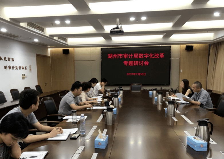 集团内审体系建设