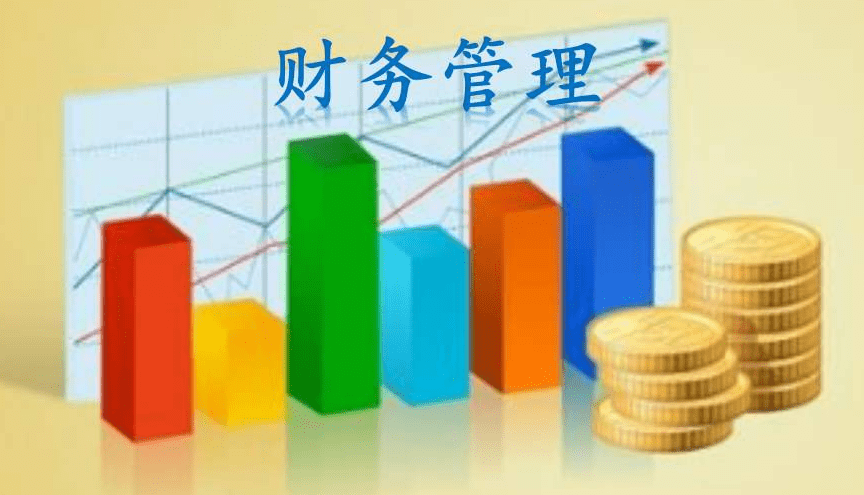 财务风险概念(本科论文财务风险管理-开题报告)